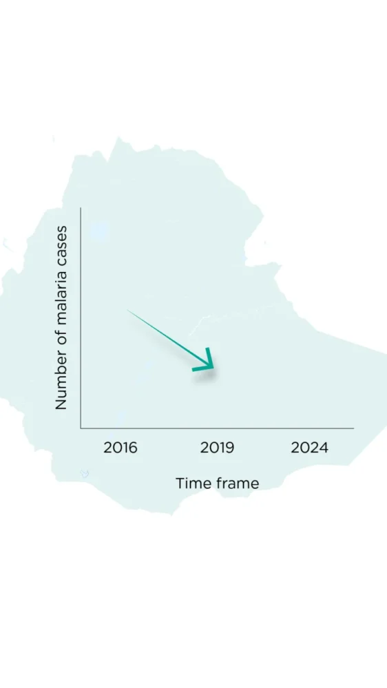 sh malaria outbreak threatens progress against malaria in ethiopia graphics graph 2m 750x1333 1